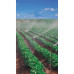 Aspersor de impact 5022U SD