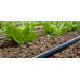 Bandă de picurare Aqua TraXX, diametru 17mm, distanta picurare 20 cm, rola 100 m Bandă de picurare Aqua TraXX, diametru 17mm, distanta picurare 20 cm, rola 100 m