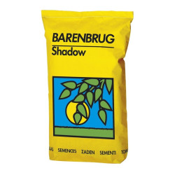 Gazon Barenbrug Shadow, sac 5 kg Gazon Barenbrug Shadow, sac 5 kg